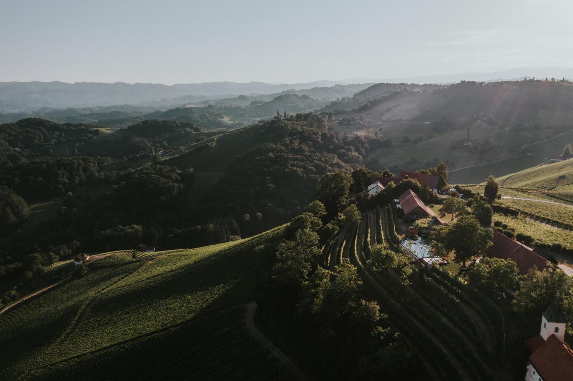 Willa Winzarei, Weingut Tement Berghausen Zewnętrze zdjęcie